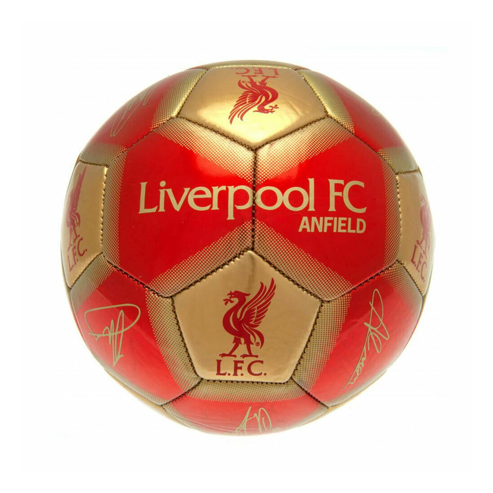 Amazon.com: Liverpool FC Signature Mini Football (One Size) (Red
